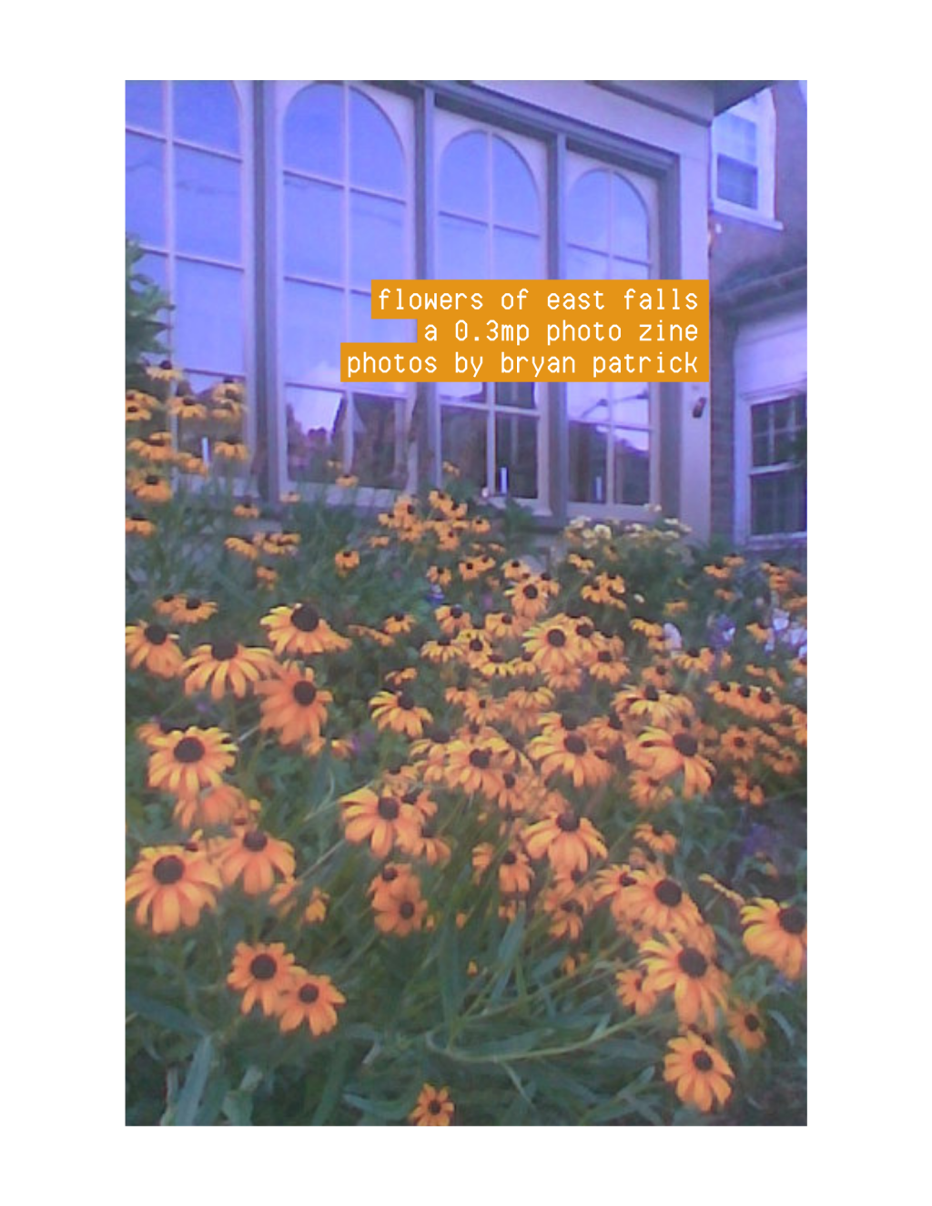 flowers of east falls: a 0.3mp photo&nbsp;zine