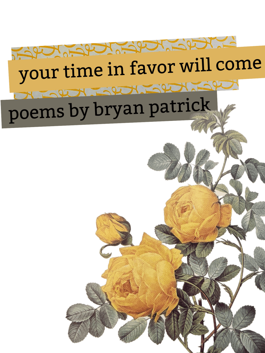 your time in favor will come:&nbsp;poems